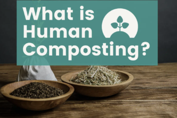 Terramation Human Composting